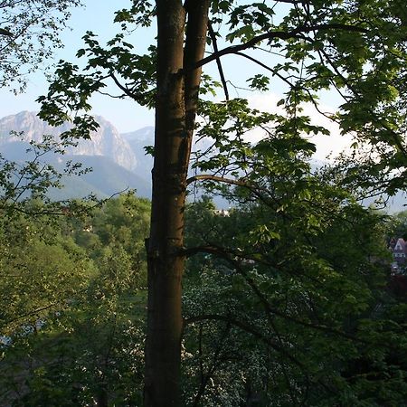 Apartament Cicha Woda Zakopane Rom bilde